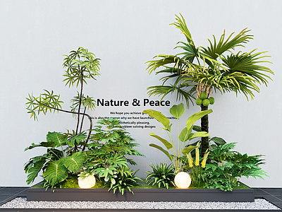 植物组合 现代室内植物造景 植物组合 植物堆 花境 花草
