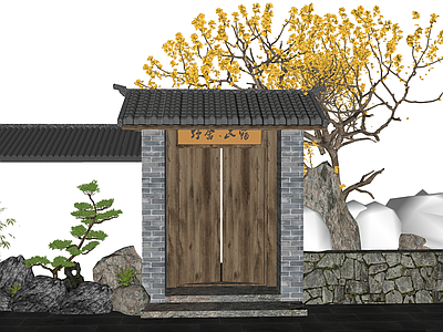 中式乡村庭院 中式庭院大门 入户大门