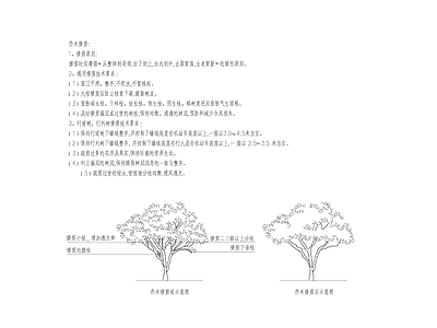 现代综合制图规范 木修枝说明 施工图
