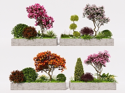植物组合 杜鹃花组合 灌木球组合 树池花卉 植物组合 植物堆