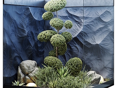 植物组合 盆栽