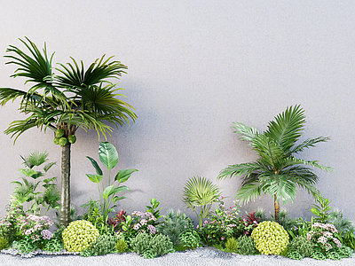 植物组合 现代庭院花园 花境 乔木 棕榈树 堆