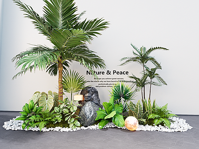 植物组合 现代庭院景观小品 植物造景 棕榈树石头花镜