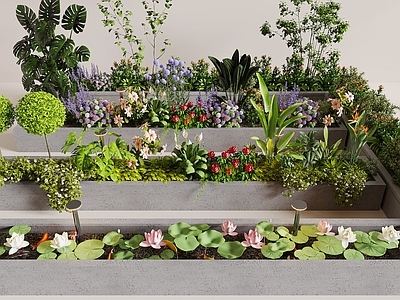 植物组合 花池 树池 盆栽 植物堆 景观小品