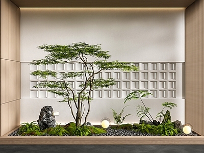 现代室内景观 庭院小品 植物堆 植物组合 石头景观树 苔藓微地形