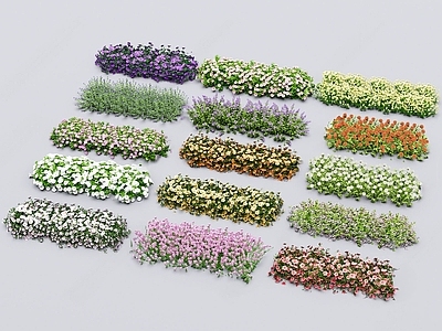 花草组合 现代花草花卉 花镜植物 花草 花卉