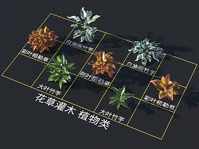 花草组合 灌木花草 植物类