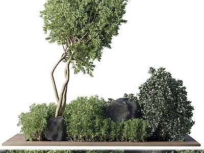 盆栽 绿植堆 户外花圃 景观小品 绿植盆景 松树