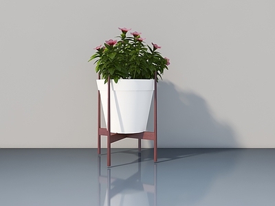 其他绿植 花盆 盆栽