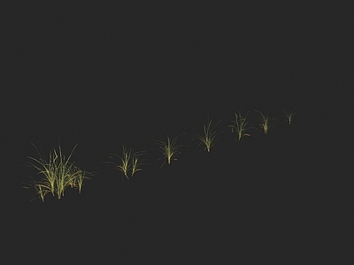 花草组合 鸭茅草
