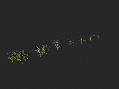 花草组合 鸭茅草