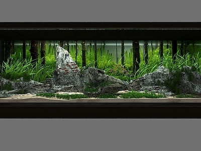 现代鱼缸 草缸造景