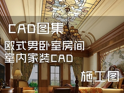 欧式卧室 家装 男 施工图