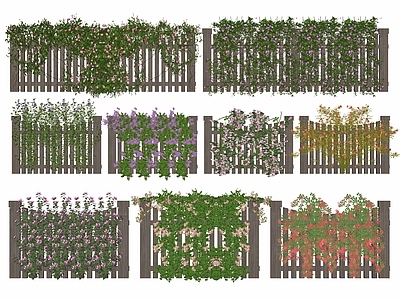 藤蔓 藤蔓月季 蔷薇 爬藤植物 绿植墙花墙 藤本灌木垂直绿化