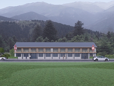 中式侘寂乡村民房 美丽乡村 建筑立面 民宿民居 规划改造