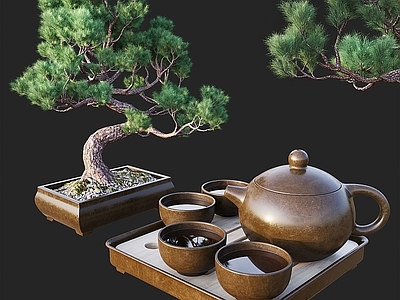 灌木
