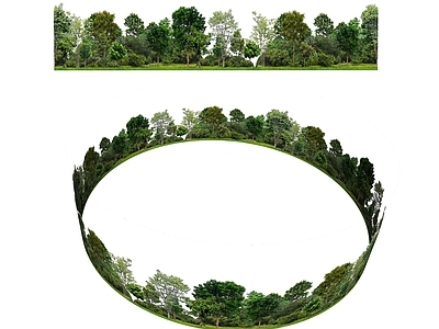 植物组合 盆栽 树池 外景