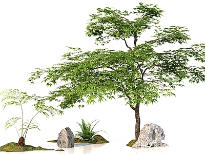 花草组合 新中式 小品 园林 室内造景