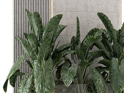 盆栽 竖向 植物墙 植物板 植物