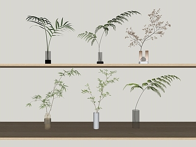 水生植物