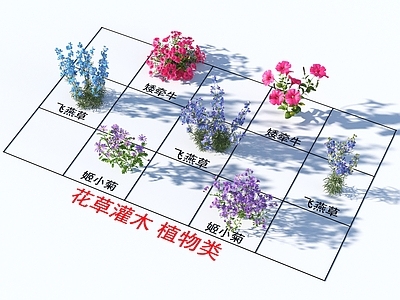 花草组合 灌木花草 植物类