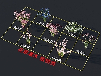 花草组合 灌木花草 植物类