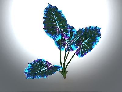 其他绿植 奇幻植物 花