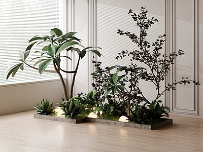 植物堆 现代植物景观造景