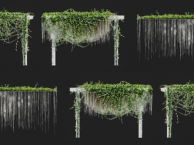 藤蔓 锦屏粉藤蔓爬藤 牵牛花植物墙 爬藤本绿植爬山虎 花墙绿植物墙 花架墙