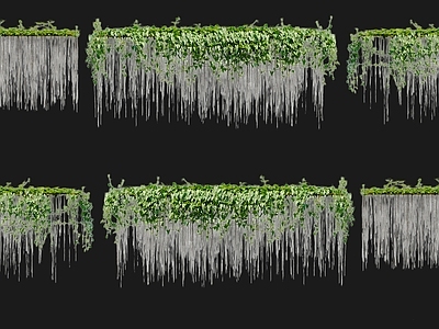 藤蔓 锦屏粉藤蔓爬墙灌 花墙绿植物墙 爬藤本绿植爬山虎 花架植物墙 牵牛花植物墙