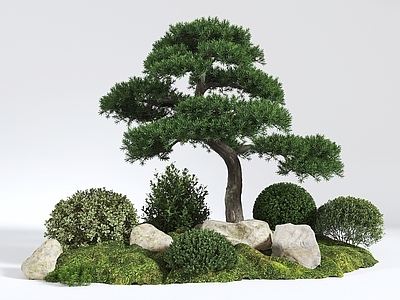 植物组合 松树 灌木 植物组合 植物堆