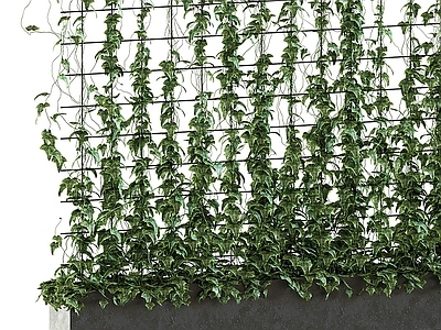 绿植墙