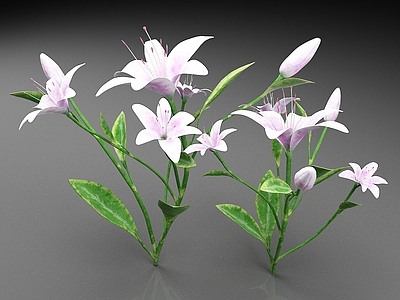 花草组合 紫百合 百合花 鲜花 花卉 花草 花朵
