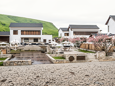 新中式乡村民房 美丽乡村建设 乡村民宿公园 村庄改造 美丽庭院