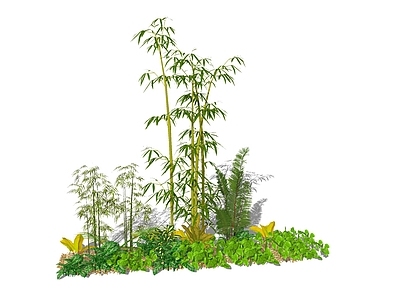 植物组合