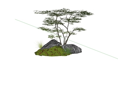 植物组合 草地小树组合