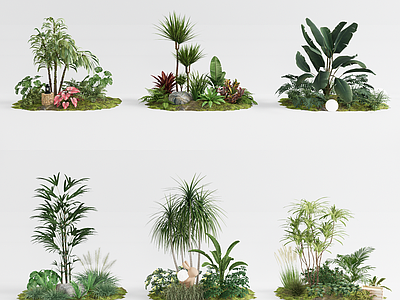 植物组合 树池 植物组合 植物造景 植物堆 热带植物