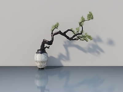 其他绿植 花坛 树