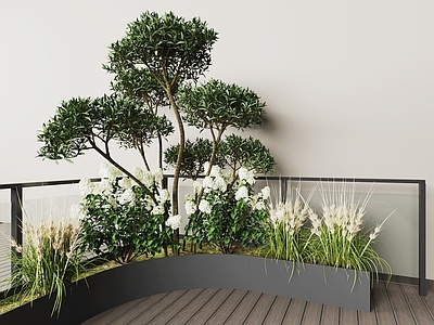 植物组合 植物堆 花池 花草 树 户外阳台