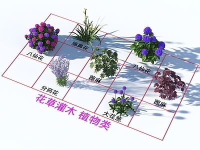 花草组合 花草灌木 植物类