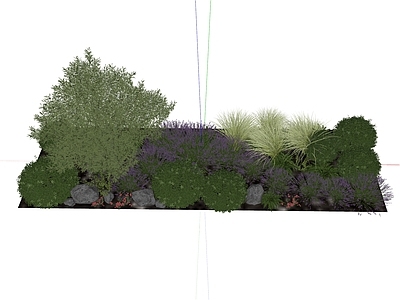 植物组合 草丛