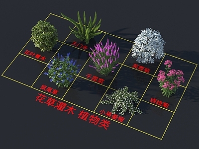 花草组合 花草灌木 植物类