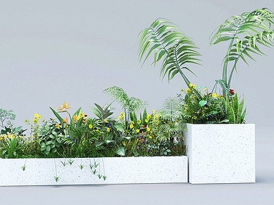 其他绿植 花箱