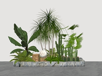 植物组合 热带组合 仙人掌 龙血树 芭蕉 树池