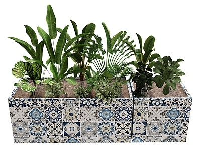 植物组合 植物组合 热带植物 绿植