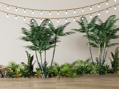 植物组合 树池