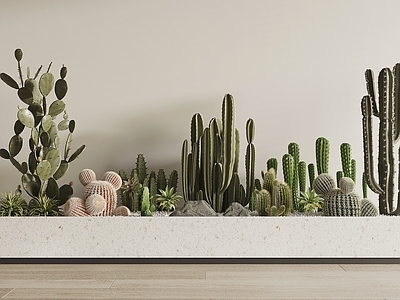 植物组合 现代堆