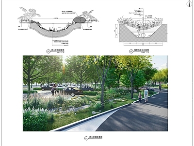 现代综合植物图库 雨水园详图 雨水园 施工图