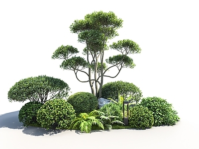 花草组合 景观树 灌木组合 植物组合 花草灌木组合 庭院景观绿植组合