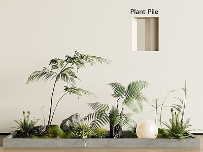 植物组合 树池 现代堆
